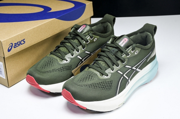 Asics Gel-kayano 31 1011B867-301 
