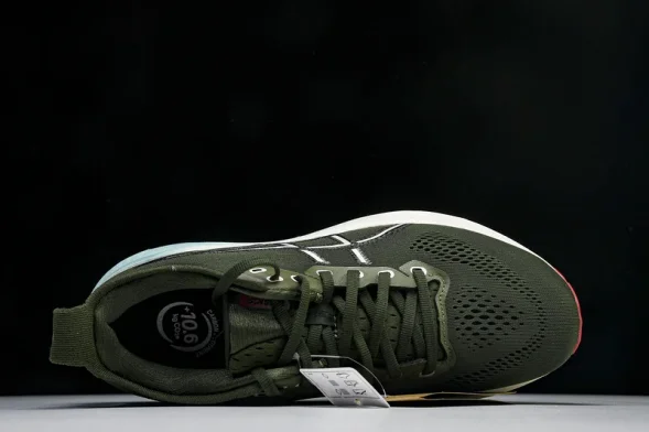 Asics Gel-kayano 31 1011B867-301 