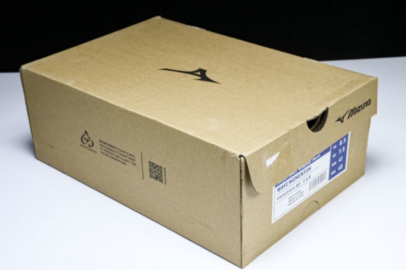 Mizuno Wave Momentum V1GA231244 