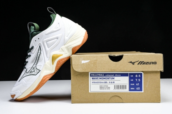 Mizuno Wave Momentum V1GA231244 