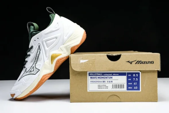 Mizuno Wave Momentum V1GA231244 
