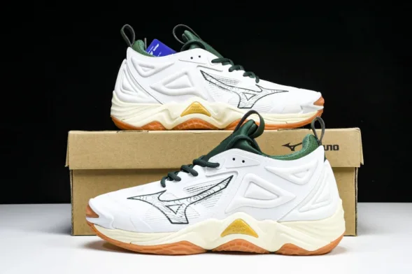 Mizuno Wave Momentum V1GA231244 