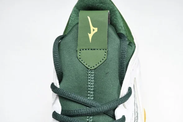 Mizuno Wave Momentum V1GA231244 
