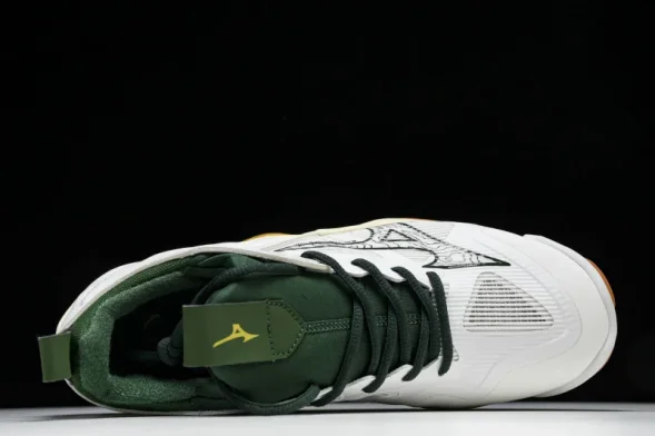 Mizuno Wave Momentum V1GA231244 