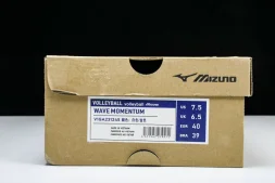 Mizuno Wave Momentum V1GA231245