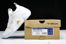 Mizuno Wave Momentum V1GA231245