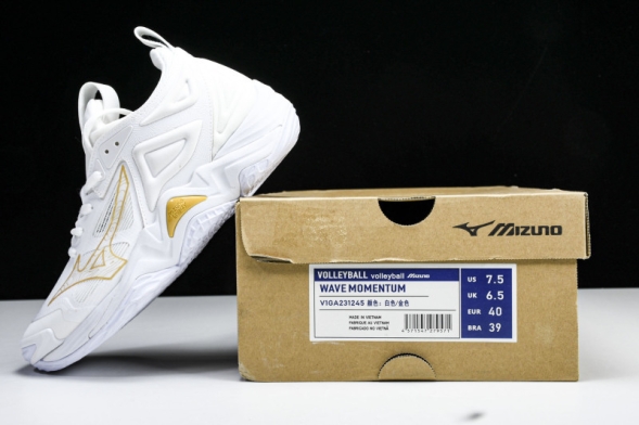 Mizuno Wave Momentum V1GA231245 