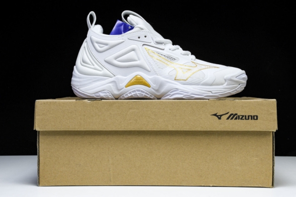 Mizuno Wave Momentum V1GA231245 