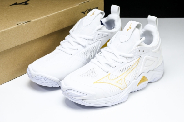 Mizuno Wave Momentum V1GA231245 