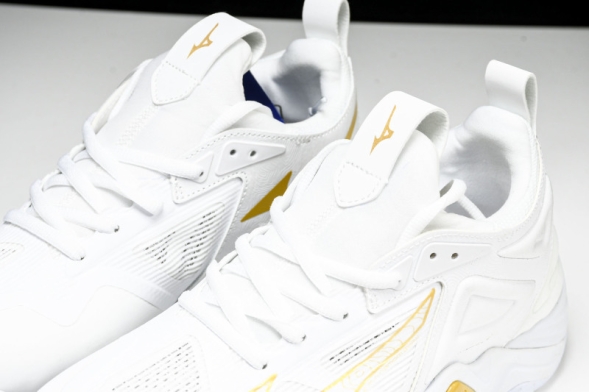 Mizuno Wave Momentum V1GA231245 