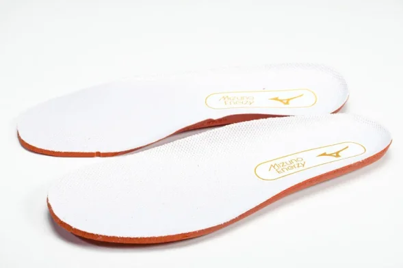 Mizuno Wave Momentum V1GA231245 