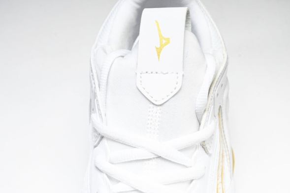 Mizuno Wave Momentum V1GA231245 