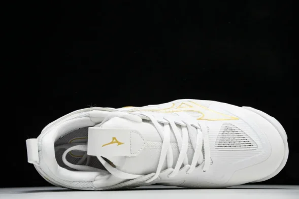 Mizuno Wave Momentum V1GA231245 