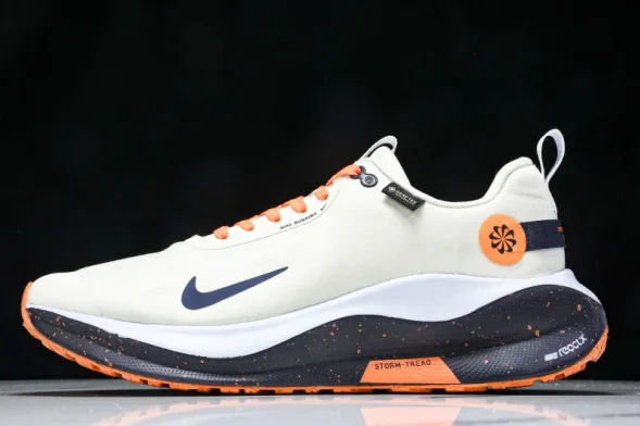 Nike ReactX Infinity RN 4 Gore-TEX FB2204-002 