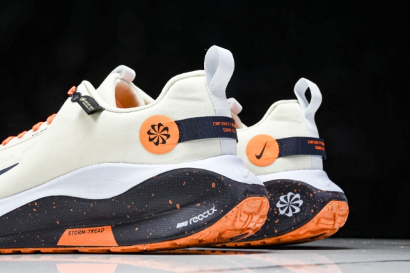 Nike ReactX Infinity RN 4 Gore-TEX FB2204-002 