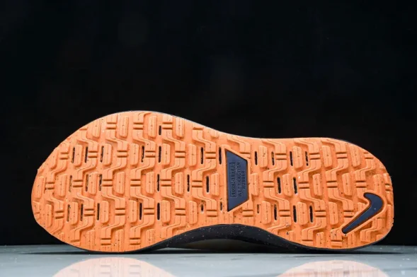 Nike ReactX Infinity RN 4 Gore-TEX FB2204-002 