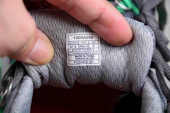 Asics Gel-Kahana TR V2 1203A259-020 