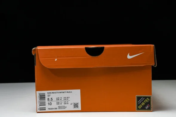 Nike ReactX Infinity RN 4 Gore-TEX FB2204-300 