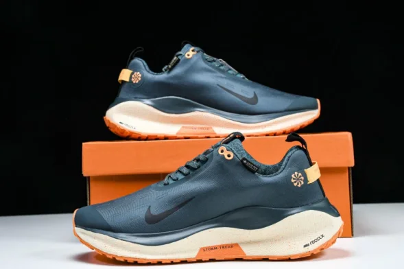 Nike ReactX Infinity RN 4 Gore-TEX FB2204-300 