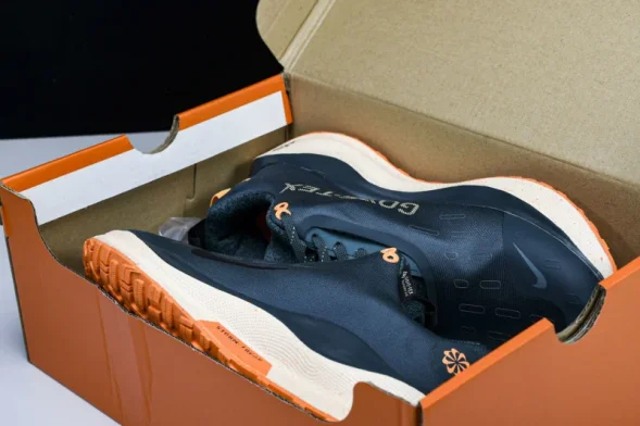 Nike ReactX Infinity RN 4 Gore-TEX FB2204-300 