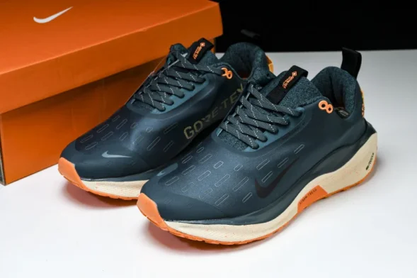 Nike ReactX Infinity RN 4 Gore-TEX FB2204-300 