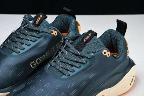 Nike ReactX Infinity RN 4 Gore-TEX FB2204-300 
