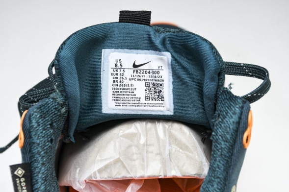 Nike ReactX Infinity RN 4 Gore-TEX FB2204-300 