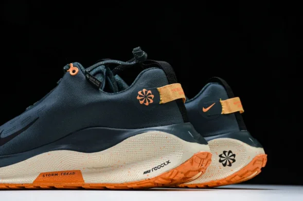 Nike ReactX Infinity RN 4 Gore-TEX FB2204-300 
