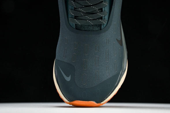 Nike ReactX Infinity RN 4 Gore-TEX FB2204-300 