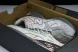 New Balance 1906 M1906ND 