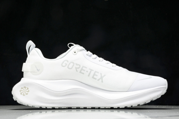 Nike ReactX Infinity RN 4 Gore-TEX FB2204-101 