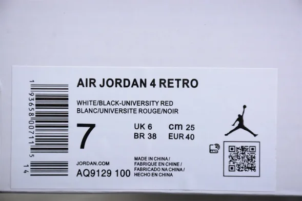 Nike Air Jordan 4 Retro Do the Right Thing AQ9129-100 