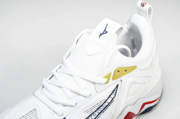 Mizuno Wave Momentum V1GB241346 