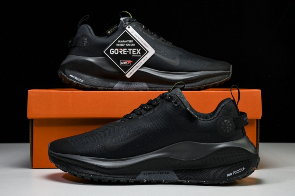 Nike ReactX Infinity RN 4 Gore-TEX FB2197-002 