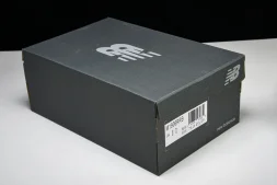 New Balance 1906 M1906RRB