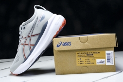 Asics Gel-kayano 31 1011B867-021