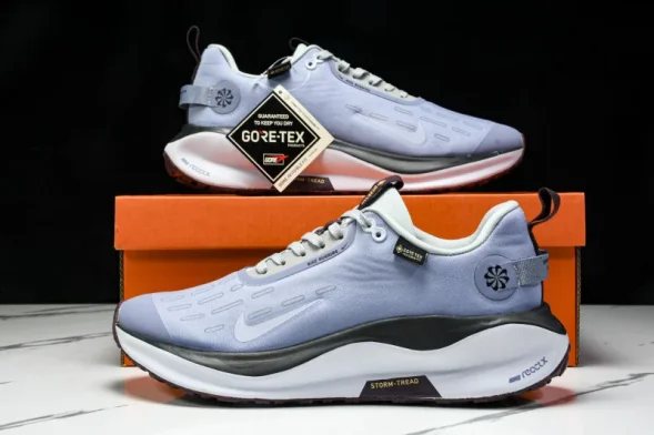 Nike ReactX Infinity RN 4 Gore-TEX HQ0265-400 