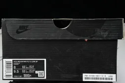 Nike ACG Mountain Fly 2 Low SP FZ3311-001