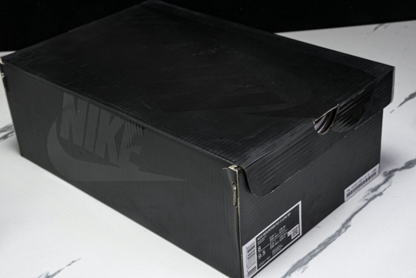 Nike ACG Mountain Fly 2 Low SP FZ3311-001 