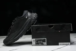 Nike ACG Mountain Fly 2 Low SP FZ3311-001