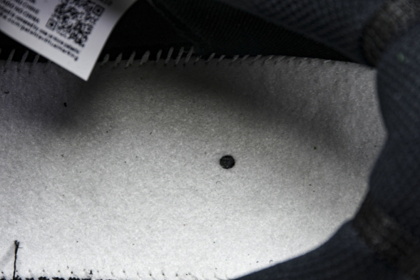 Nike ACG Mountain Fly 2 Low SP FZ3311-001 