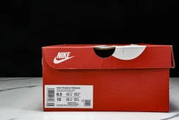 Nike Air Zoom Pegasus Premium HQ2593-009
