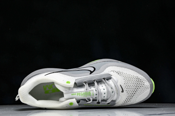 Nike Air Zoom Pegasus Premium HQ2593-009 