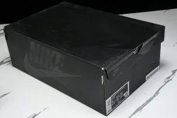 Nike ACG Mountain Fly 2 Low SP FZ3311-101