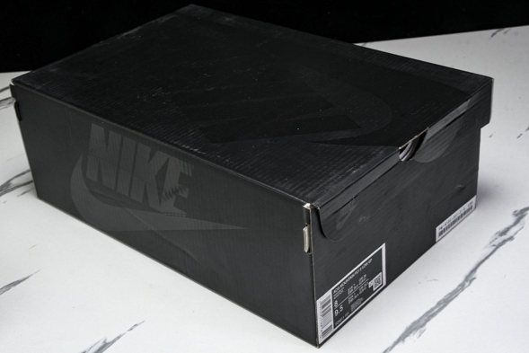 Nike ACG Mountain Fly 2 Low SP FZ3311-101 