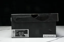 Nike ACG Mountain Fly 2 Low SP FZ3311-101