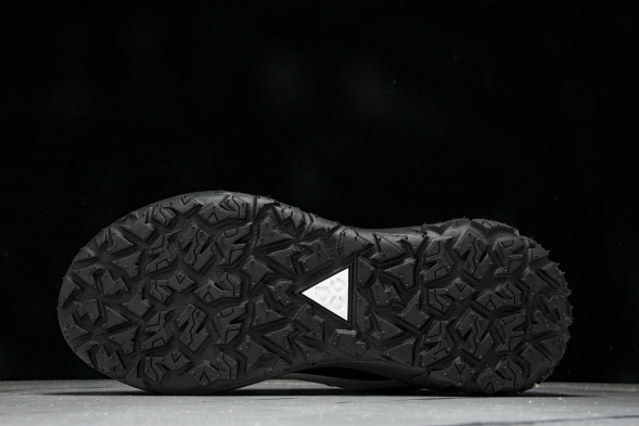 Nike ACG Mountain Fly 2 Low SP FZ3311-101 