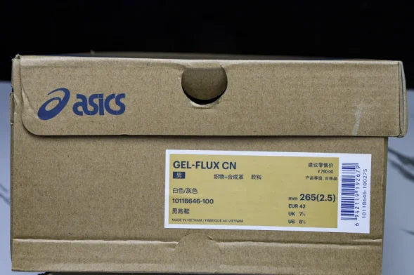 Asics Gel-Flux 4 CN 1011B646-100 