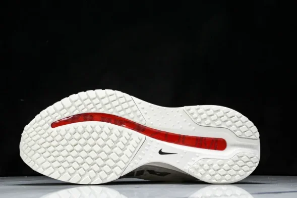 Nike Air Zoom Pegasus Premium HQ2592-101 