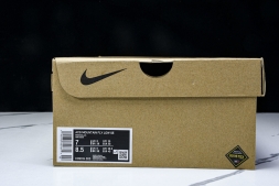 Nike ACG Mountain Fly Low GTX SE D09334 300